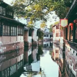 政务服务进夜市受欢迎